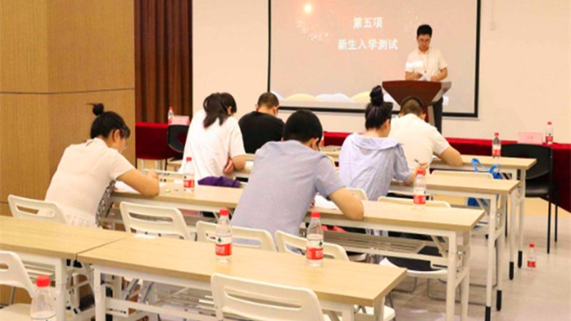 在线教育代理加盟，政策对比中的关键考量